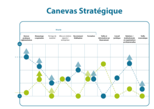 Exemple de canevas stratégique, outil de la stratégie océan bleu